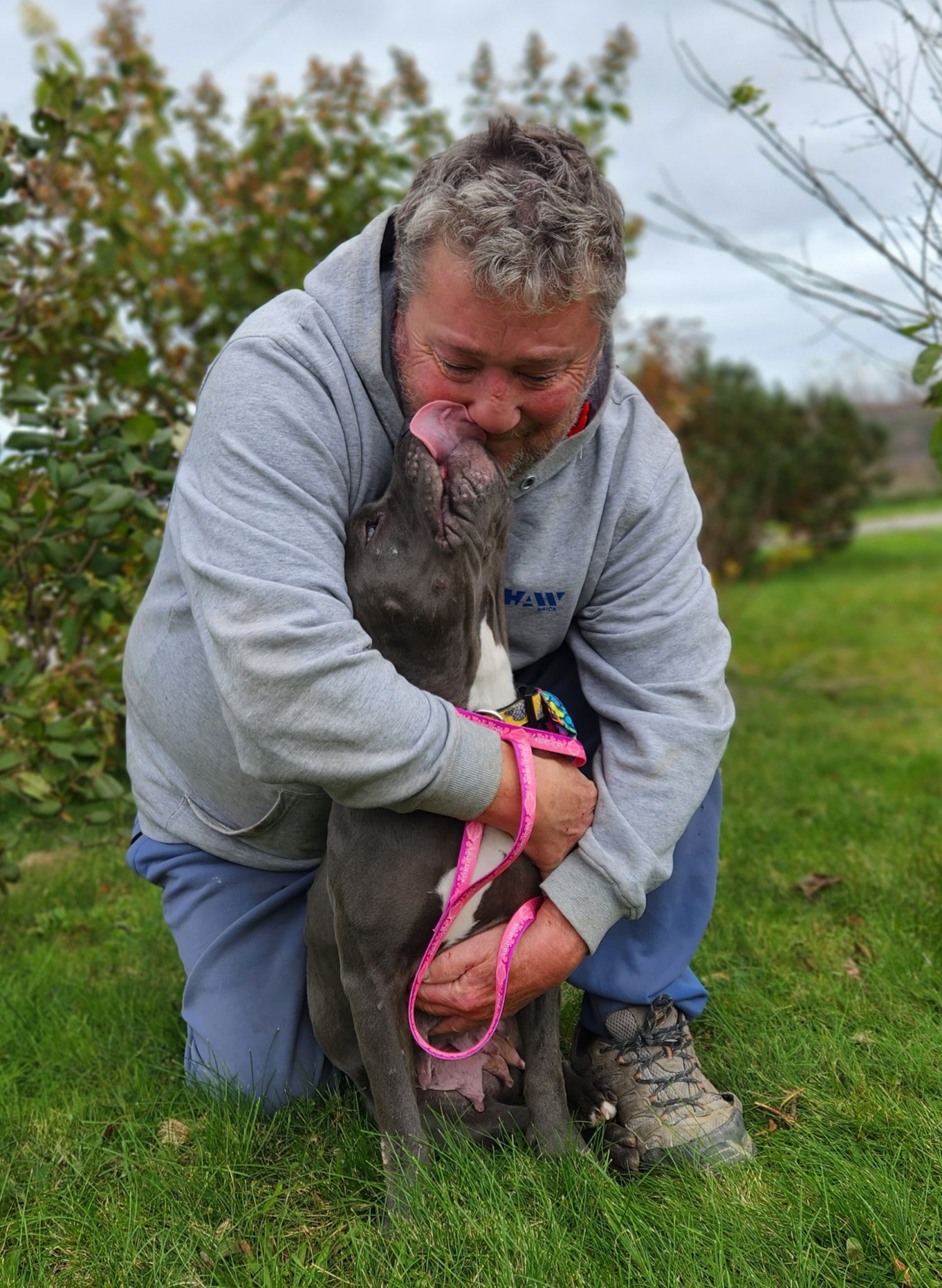 A Patient Owner Makes All The Difference for a Timid Dog: Chanel and ...